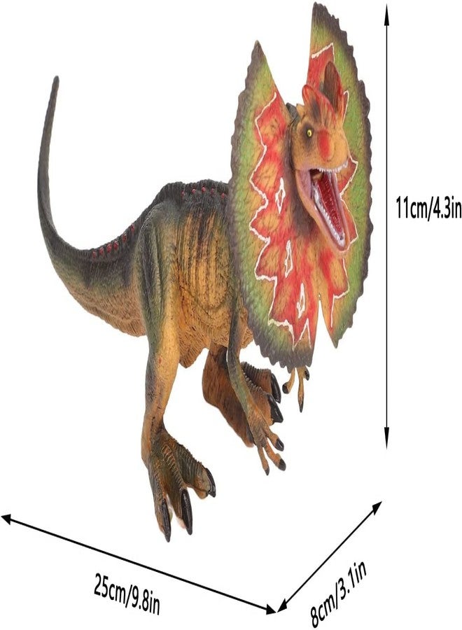 BAREPEPE Dinosaur Toys for Kids,Tyrannosaurus Toy with Action Figure,Realistic Jurassic Dinosaur Park Figurines Gift Dinosaur Toys T-Rex Edition(25cm X 10cm Dilophosaurus Rex) - Image 5